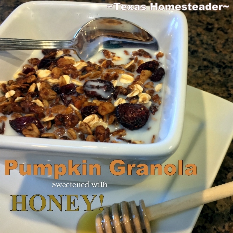 I use my home-grown pumpkin puree when making our favorite pumpkin granola. #TexasHomesteader