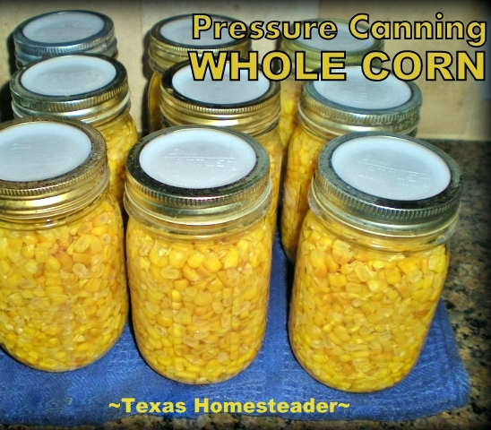 Preserving that corn by pressure canning means we'll be enjoying the sweet taste of summer even during the cold months of winter! #TexasHomesteader