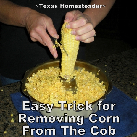 An easy trick to removing corn from the cob. Preserving that corn by pressure canning means we'll be enjoying the sweet taste of summer even during the cold months of winter! #TexasHomesteader