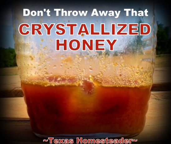 Don T Throw Away That Crystallized Honey Texas Homesteader