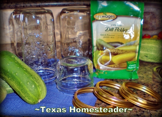 We love dill pickles but I've never been happy making my own brine. I've found the secret weapon - a SUPER EASY brine. Check it out. #TexasHomesteader