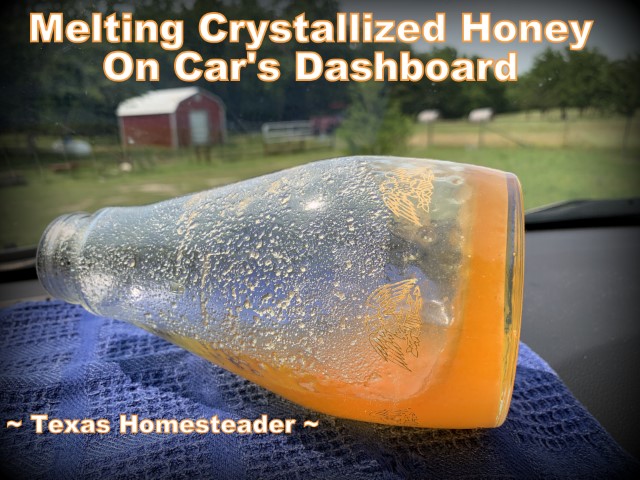 Melting honey crystals in glass jar on dashboard of car #TexasHomesteader