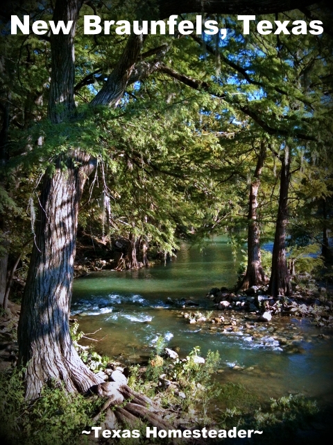 Comal River. We were finally able to get away for a long weekend with my siblings. We thoroughly loved our time in New Braunfels, Texas! #TexasHomesteader