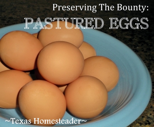 Trying to peel boiled eggs? Wanna know the secret of peeling VERY fresh eggs easier?? No more mangled mess! #TexasHomesteader