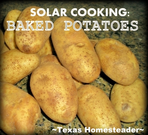 I'm using my solar oven almost every day for the last few weeks - I LOVE IT! See how I cooked baked potatoes without adding any heat to my Texas kitchen. #TexasHomesteader
