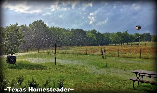 The storm came with a frightening fury, but the calm afterward was beautiful. #TexasHomesteader