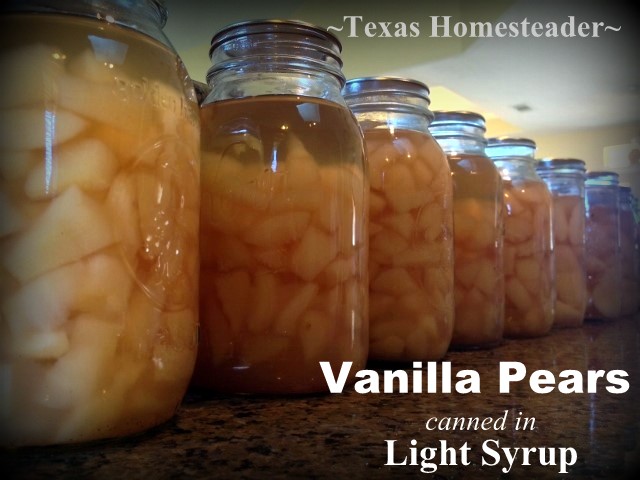 WATER-BATH CANNING FRESH PEARS In Light Syrup. I like to add a light splash of vanilla to the syrup before adding to the pears - DELICIOUS #TexasHomesteader
