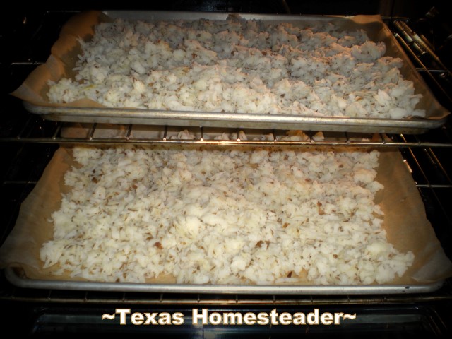 Dehydrating Potatoes. If you buy a bag of potatoes cheap, how do you preserve them before they go bad? Dehydrate them! #TexasHomesteader