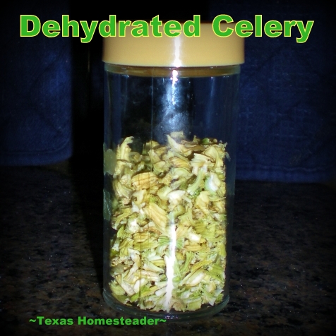 I've learned how to preserve celery so it's always available when I want to use it in a recipe. #TexasHomesteader
