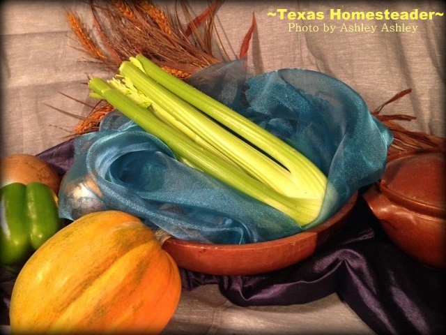 I've learned how to preserve celery so it's always available when I want to use it in a recipe. #TexasHomesteader