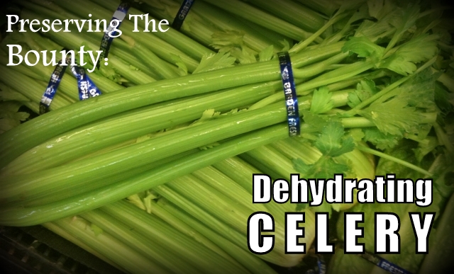 If I can't use all the fresh celery in time, I dehydrate it for use later. #TexasHomesteader