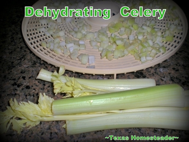 Dehydrate celery to to eliminate food waste. Can you eat your compost? Come see ways I've saved food previously destined for the compost pile for delicious use in my kitchen. #TexasHomesteader