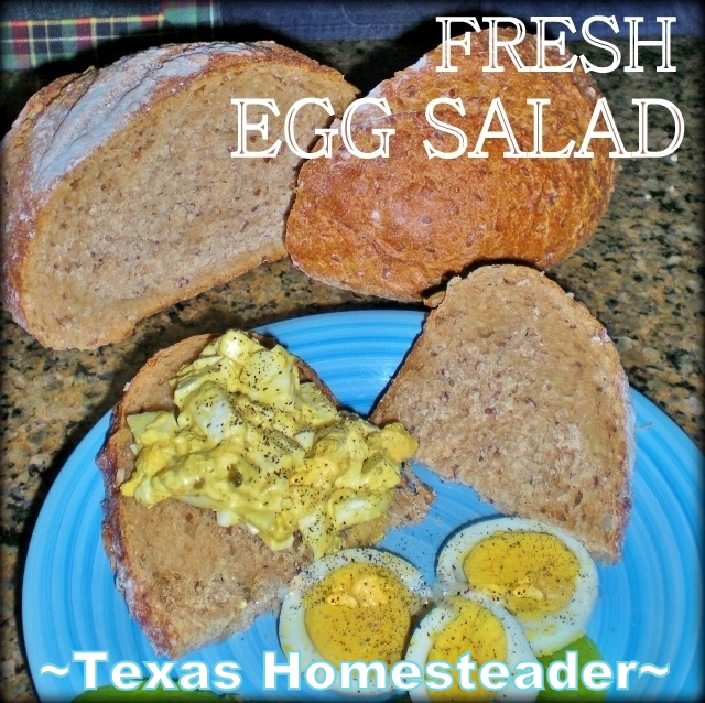 Fresh egg salad made from eggs from our backyard chickens and homemade pickles and sweet relish. #TexasHomesteader