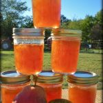 Pear Preserves. We have lots of great jelly recipes on our site, some don't even require added pectin. Come see our easy recipes! #TexasHomesteader
