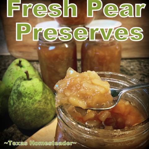 Pear Preserves - water bath canning - fresh pear produce jam jelly #TexasHomesteader