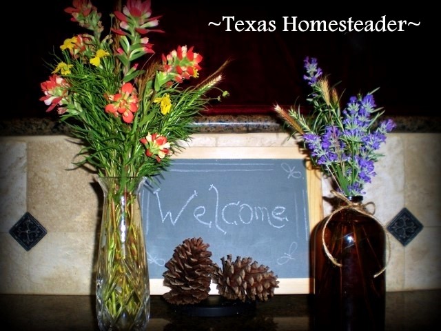 There is never an absence of entertainment right here on the homestead - our guests never get bored! Read about country entertainment. #TexasHomesteader