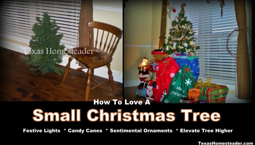 Small Christmas tree can be beautiful and sentimental. #TexasHomesteader