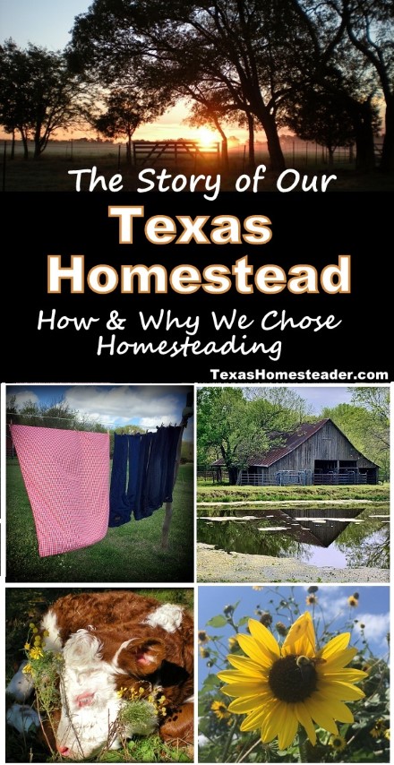 Many people wonder how we came to be Texas Homesteaders. Here's our story. #TexasHomesteader