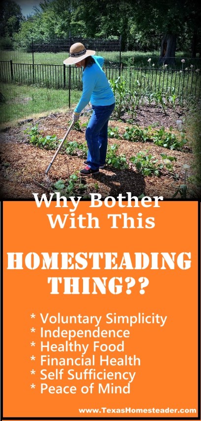 Why bother with homesteading? Health, finance, independence and self sufficiency. #TexasHomesteader