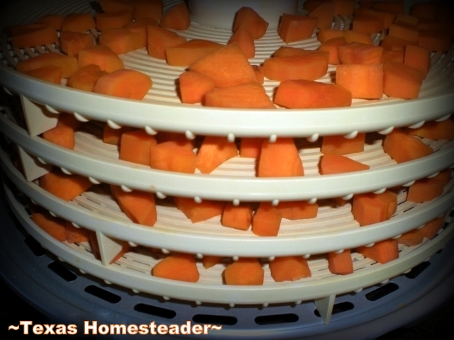 Ugly Produce Still Tastes Great: Dehydrating Carrots ~ Texas Homesteader