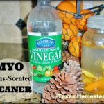 Homemade citrus-scented vinegar cleaner for zero-waste natural cleaning in your home. #TexasHomesteader