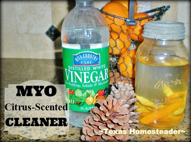 MYO Citrus-scented cleaner. There are so many ways to reduce waste in your kitchen to make a huge impact in reducing the amount of landfill trash spilling from your home! #TexasHomesteader