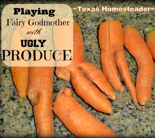 Don't Waste Food! Produce doesn't have to be beautiful to be delicious. See how I play fairy godmother to some ugly carrots. #TexasHomesteader