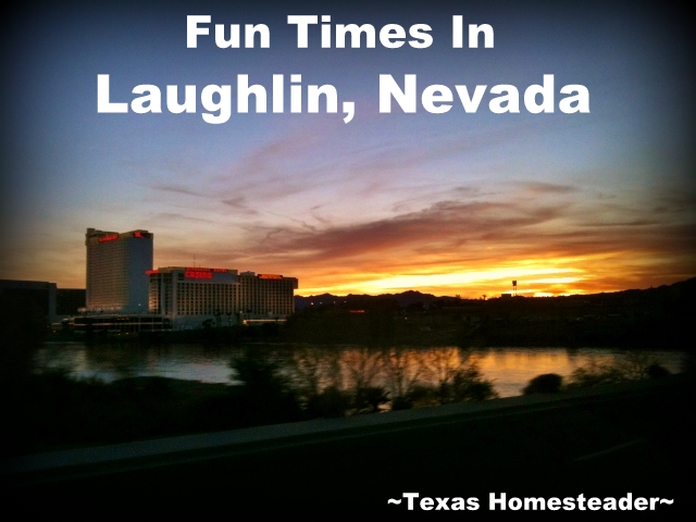 A trip to Laughlin Nevada is more than just gambling - what a fun trip! We also went to NV and saw the casinos & Hoover Dam. #TexasHomesteader