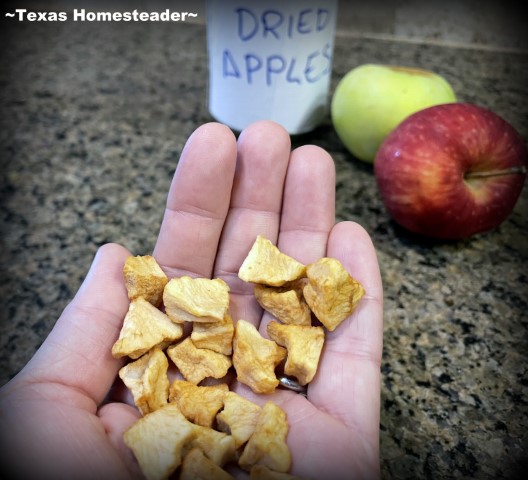 Dry dried apples dehydrated fruit apple raisins #TexasHomesteader