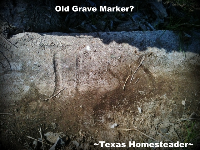 Grave Marker. Evidence of an old abandoned homestead. It has an 1880's barn, orchard of jujube trees & is in need of TLC! #TexasHomesteader