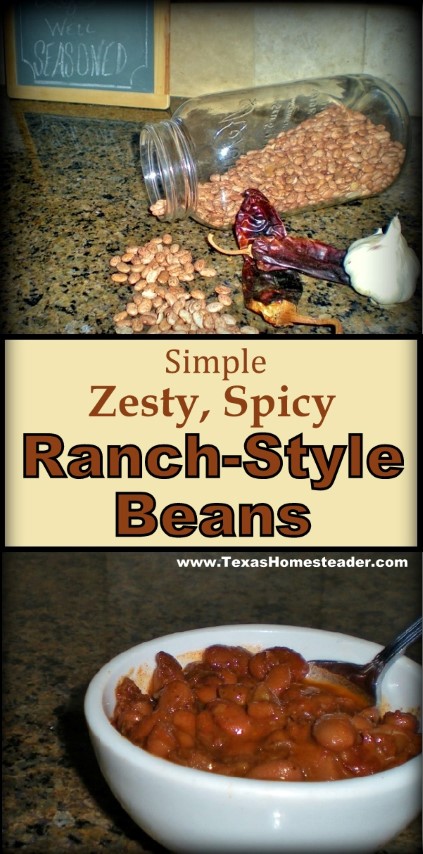 It's simple to cook regular dry pinto beans into zesty, spicy Ranch-Style Beans. Come see how. #TexasHomesteader