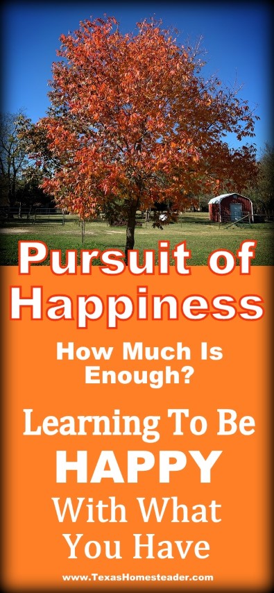 Learning to be happy with what you have. The pursuit of happiness, how much is enough. #TexasHomesteader