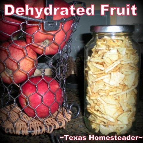 Jar of dehydrated apples. After finding a great deal on apples I dehydrated them into soft chewy chunks. Good for me, good for my wallet & good for the environment! #TexasHomesteader