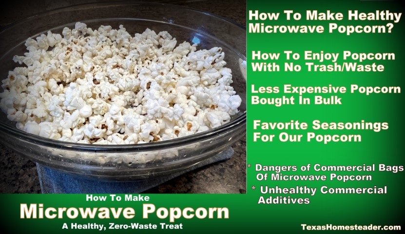 How I make zero waste healthy popcorn glass bowl microwave-safe plate. #TexasHomesteader