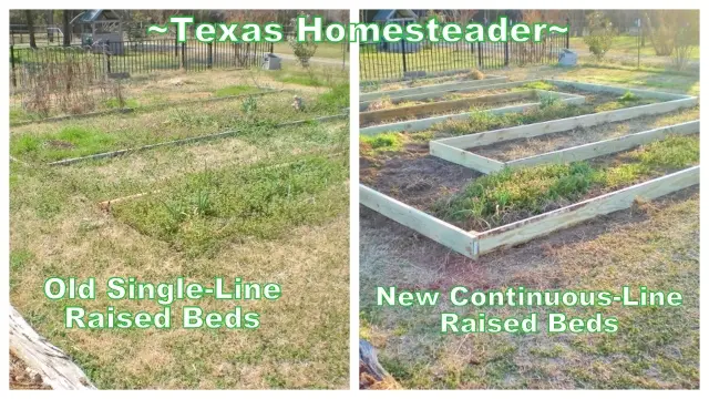 Building Raised Beds Before After