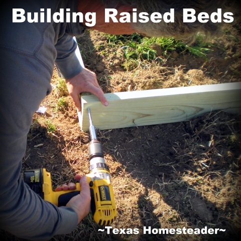 Building Raised Beds. My old raised beds were in need of replacement and I wanted a more efficient design. See how we constructed our raised beds. #TexasHomesteader