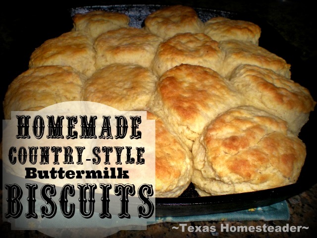 A simple homemade country-style buttermilk biscuit recipe. #TexasHomesteader