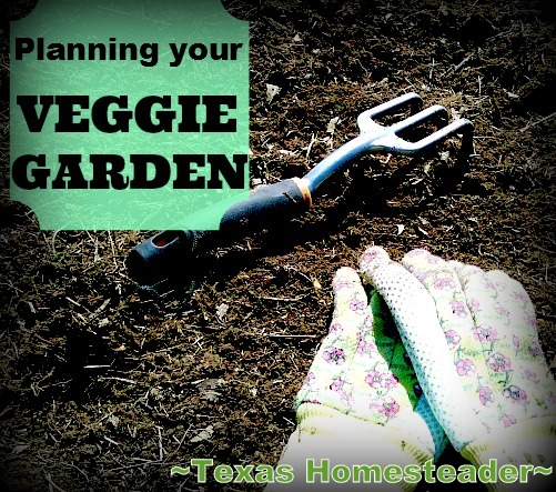 How do you plan your vegetable garden each year? Come see my simple planning method. #TexasHomesteader