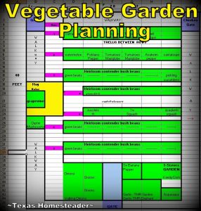 Planning my veggie garden. I waited (im)patiently for Easter so I could finally plant. The weather has been a challenge. Here is my April veggie garden update! #TexasHomesteader