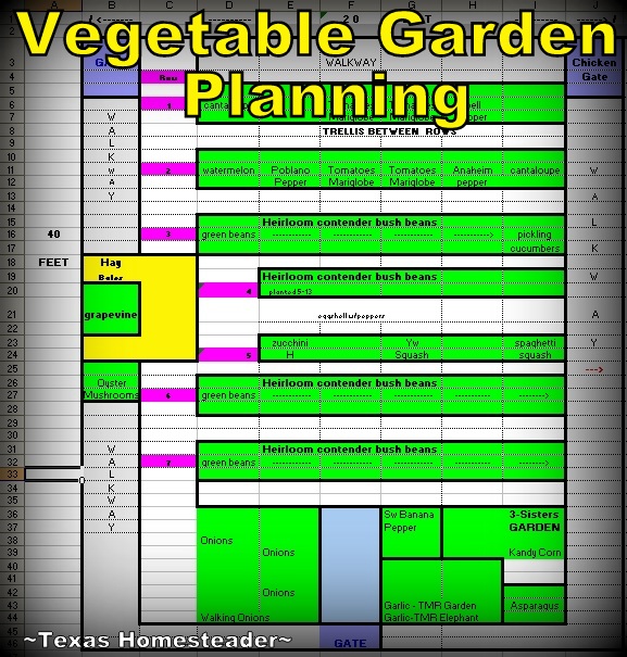 Vegetable garden layout on a spreadsheet for garden planning. #TexasHomesteader