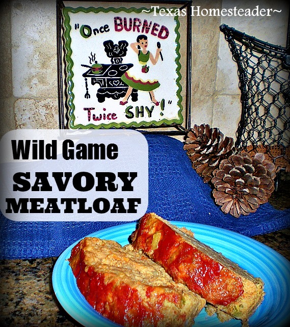 With so much wild-game ground pork I made savory meatloaf using the 'cook-once-eat-twice' method of cooking. Check out my recipe! #TexasHomesteader