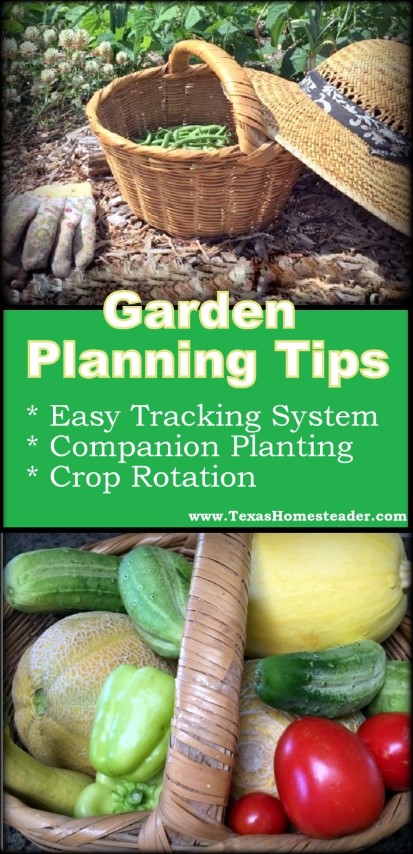 zucchini garden planner