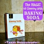 Baking soda is an all-natural yet inexpensive zero-waste scrubbing powder to clean toilets, dishes and more. #TexasHomesteader