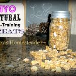 Simple pet training treats for your furbaby. Made with wholesome ingredients. #TexasHomesteader