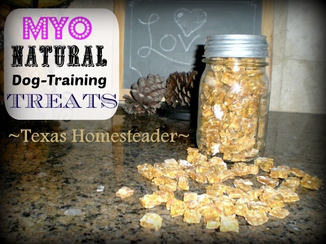 I made homemade training treats for our ranch dog using wholesome ingredients I already had in the house. She LOVES them! Check out my recipe. #TexasHomesteader