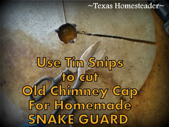 See how we made a homemade predator guard for our martin house using a old chimney cap to keep the snakes away from the birds! #TexasHomesteader