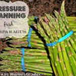 Pressure can quarts of fresh asparagus at 10 pounds for 40 minutes. #TexasHomesteader