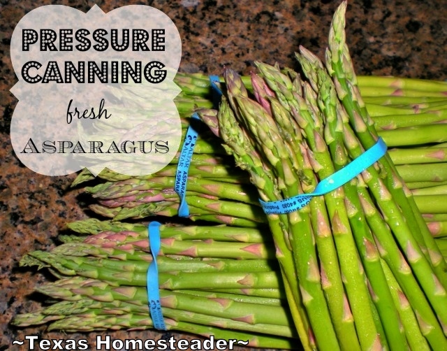 Canning Asparagus. I found a great deal on asparagus. I'd love to enjoy fresh asparagus throughout the year so I decided to can it! #TexasHomesteader