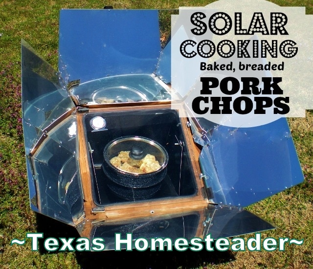 It's hot & humid outside, but I'm not adding it inside our home. How am I going to cook tonight's supper? You won't believe it! #TexasHomesteader