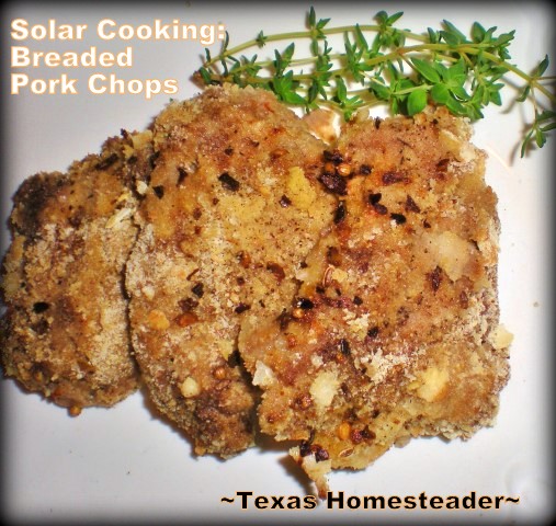 Boneless breaded pork chops cooked to perfection in my solar oven using the power of the sun! #TexasHomesteader